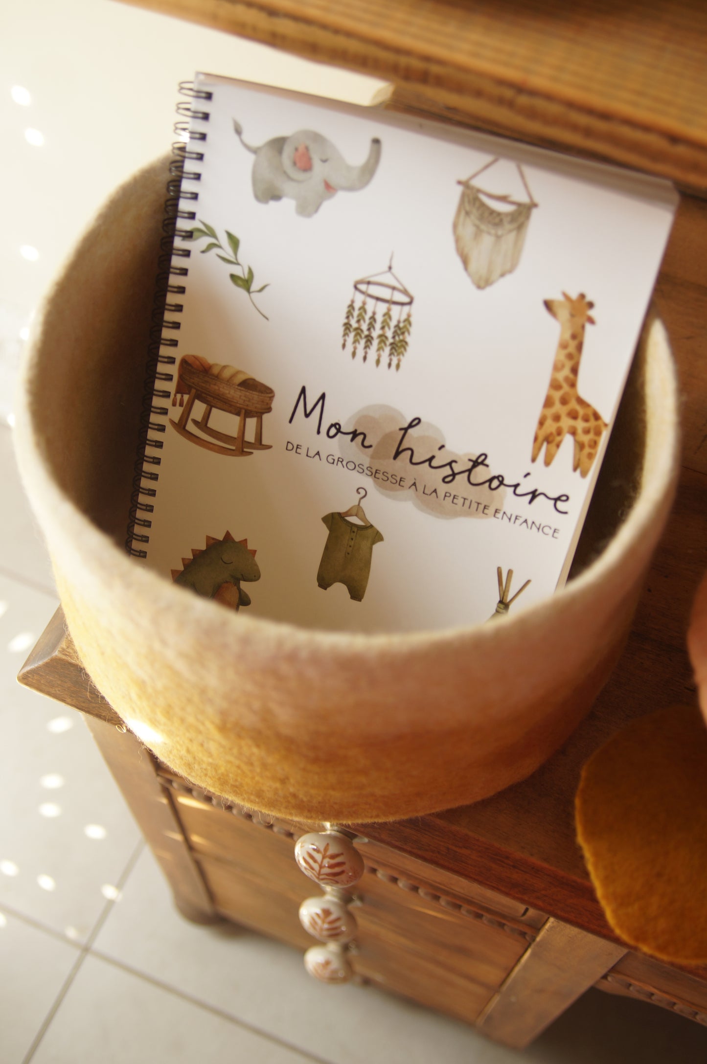 PHOTOS - Carnet maternité