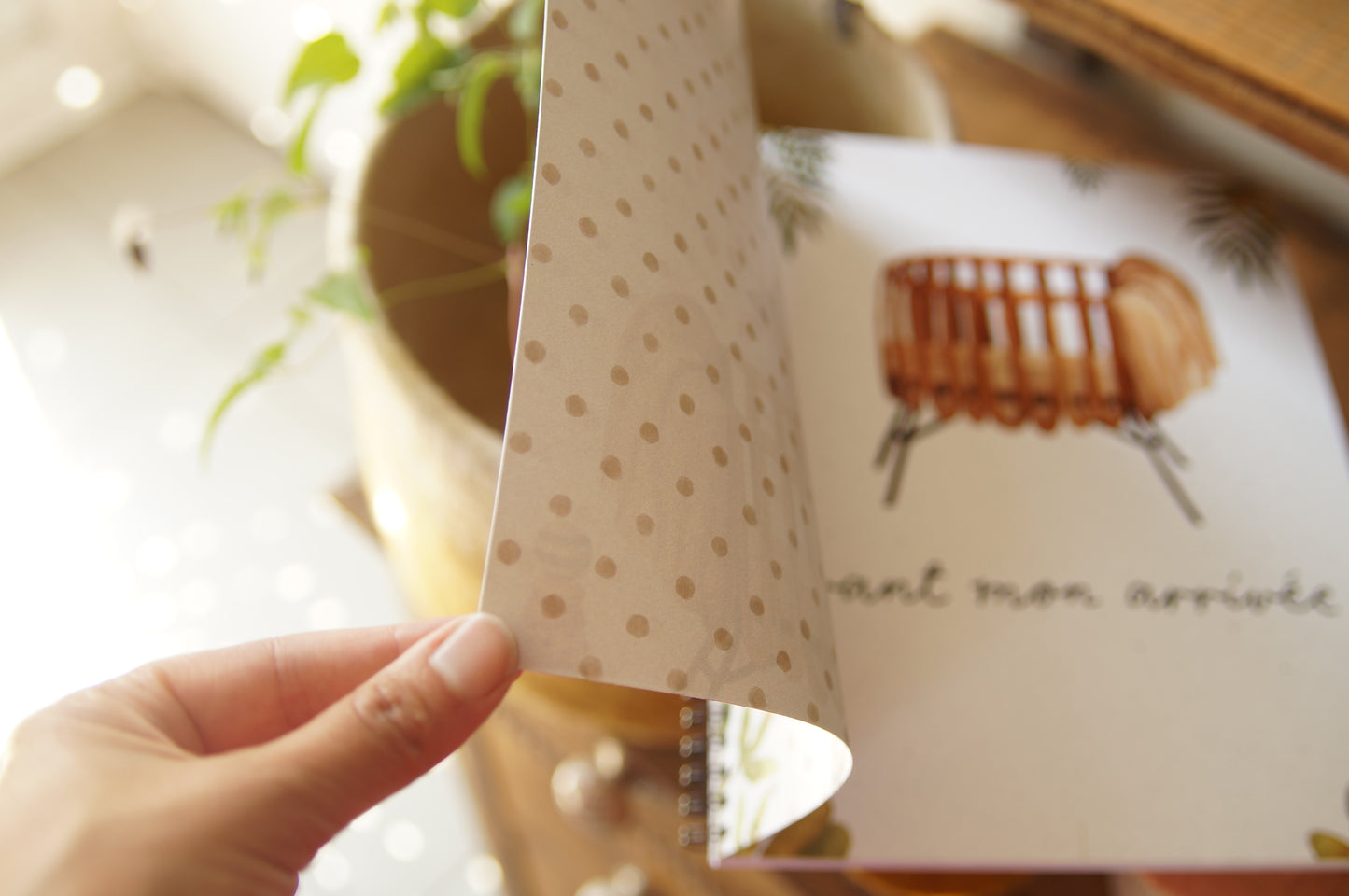 PHOTOS - Carnet maternité