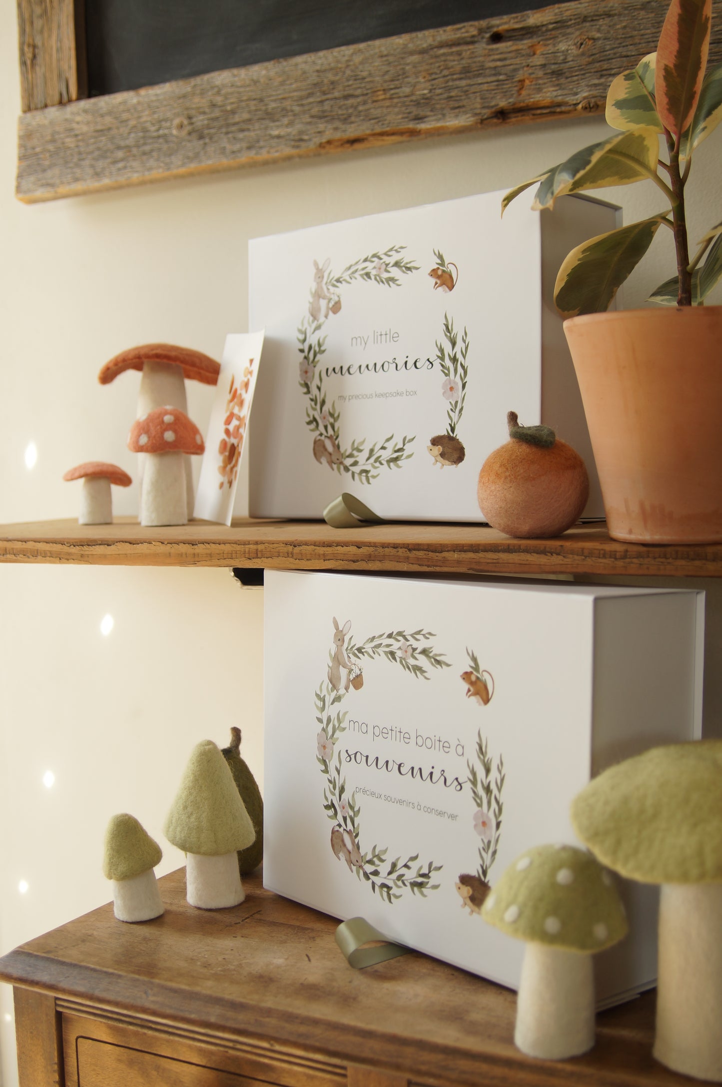 PHOTOS - Boîtes souvenir