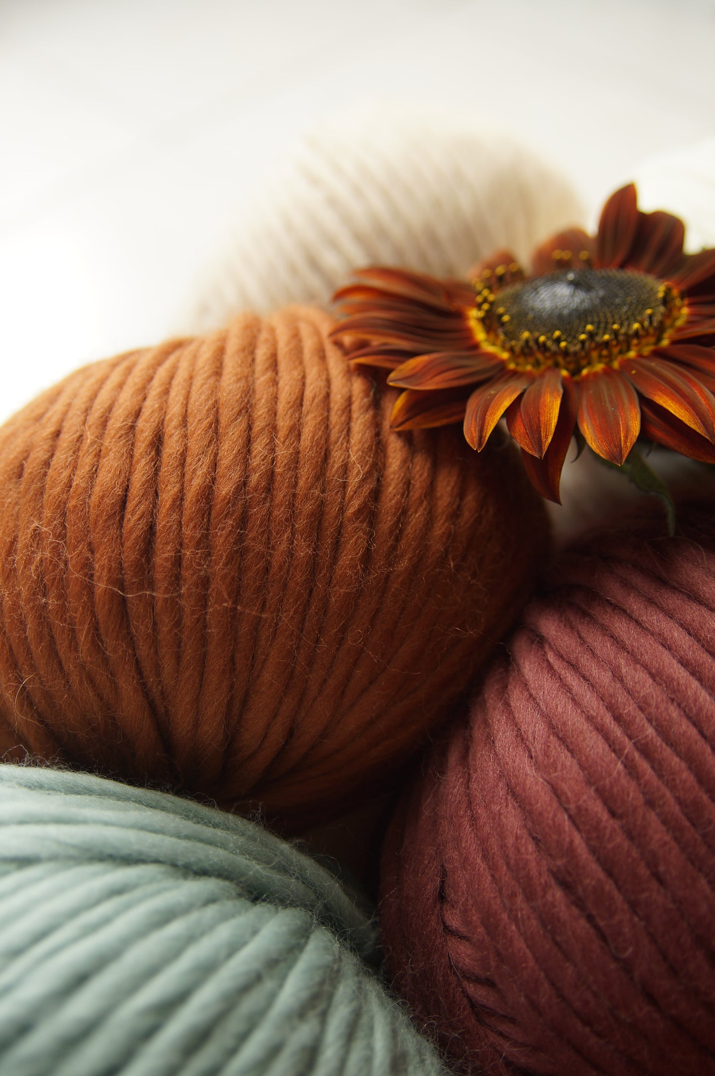 PHOTOS - Balles de Laine