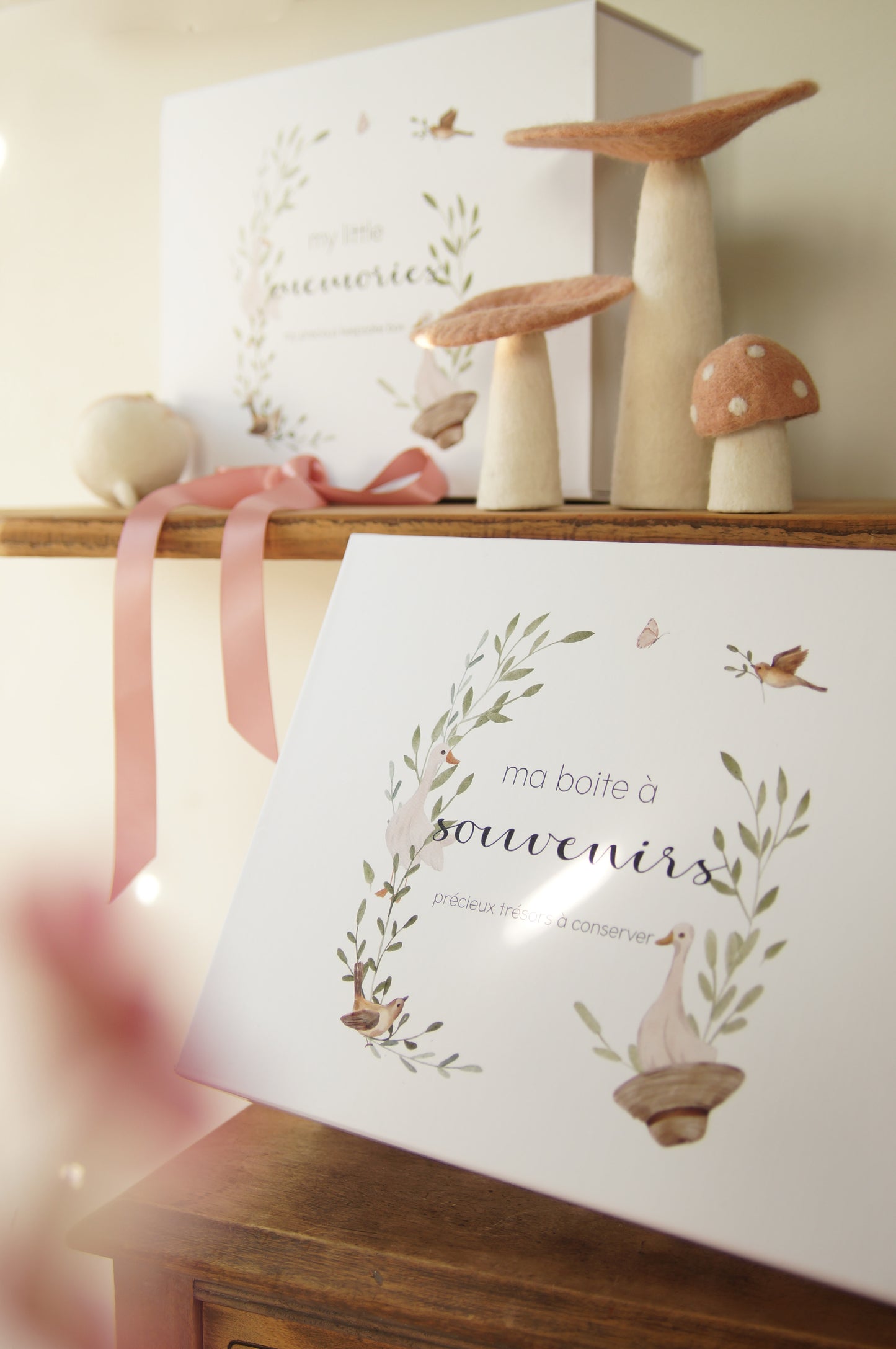 PHOTOS - Boîtes souvenir