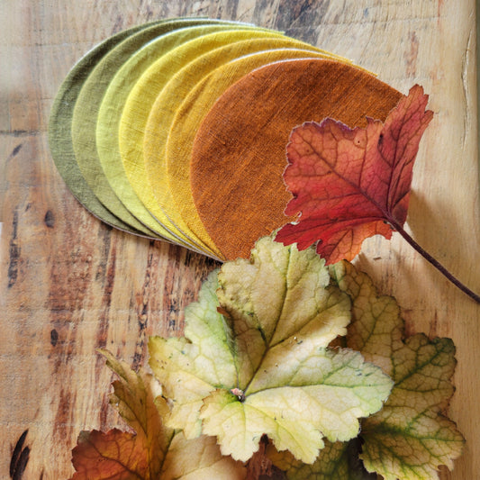 Guirlande CHAMPS DE COURGES