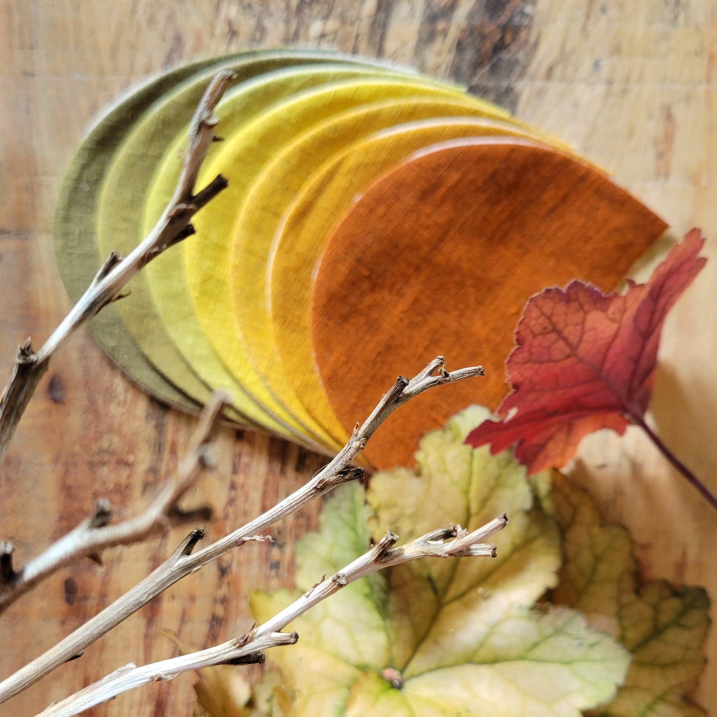 Guirlande CHAMPS DE COURGES