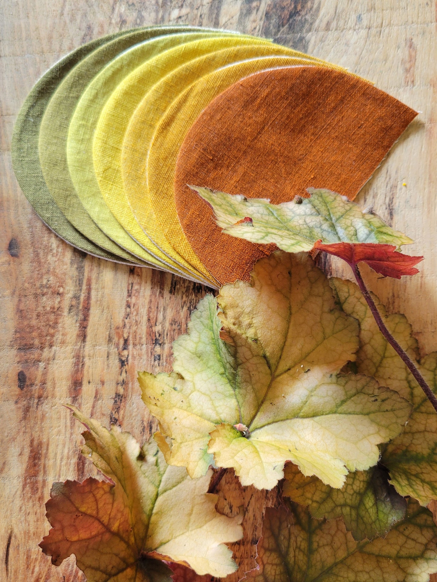 Guirlande CHAMPS DE COURGES